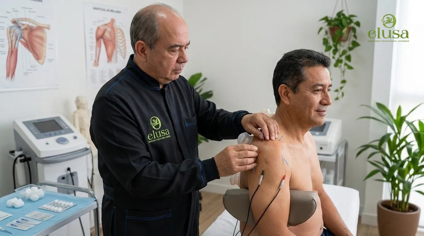 Aplicações e cuidados na Fitoterapia Chinesa Aplicações e cuidados na Fitoterapia Chinesa